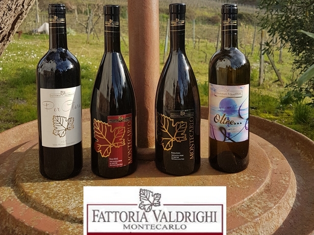 Fattoria Valdrighi, il buon vino a Montecarlo di Lucca